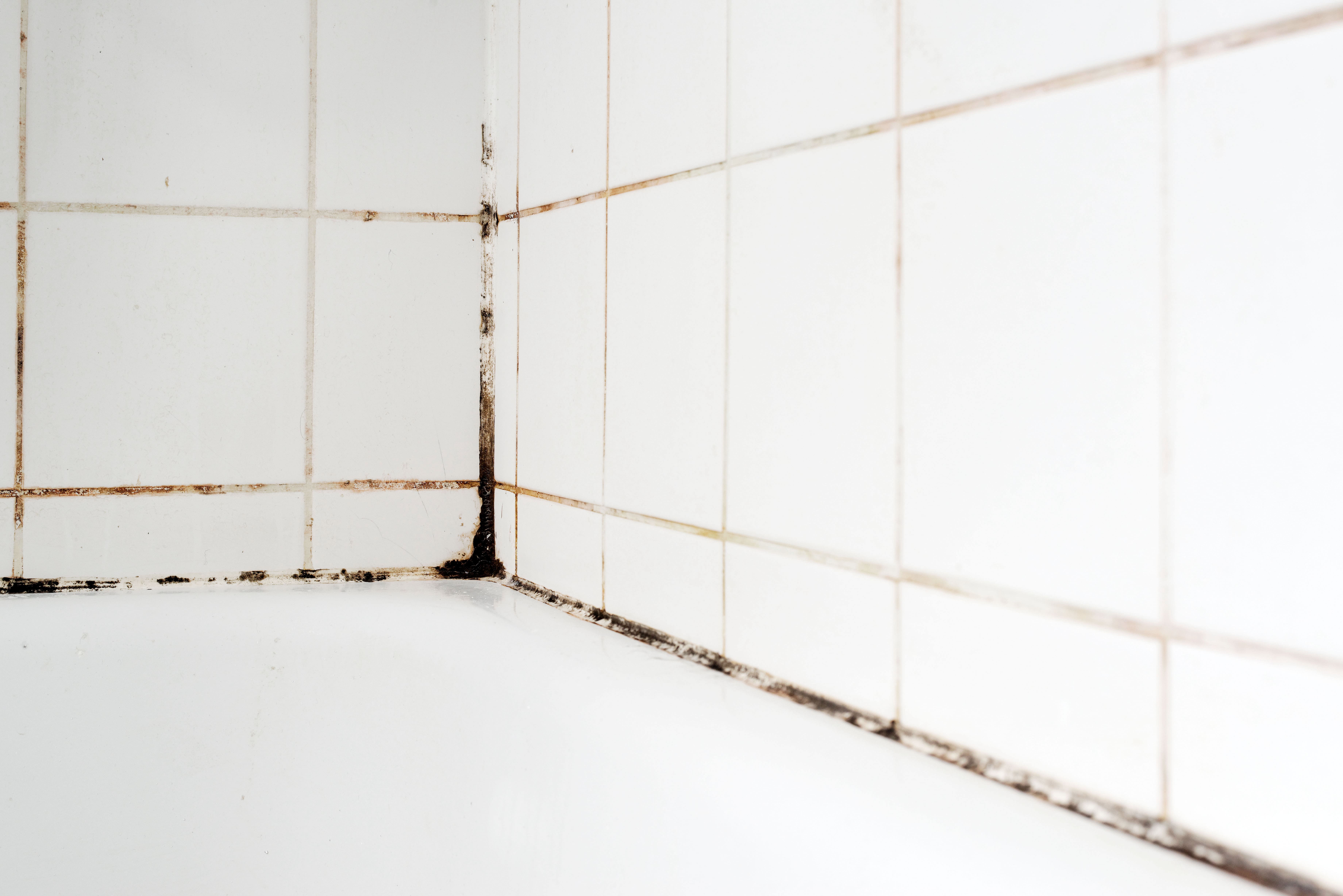 How To Remove (And Prevent) Mold In Bathrooms & Showers